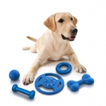 Pet Supplies – Where to Start